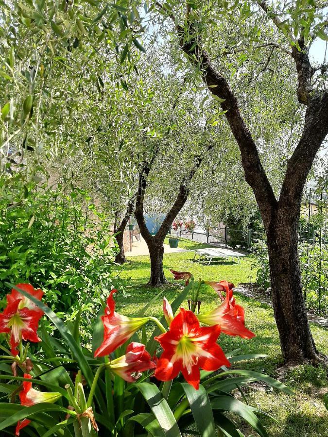 Apartment Maria برنزوني سول جاردا المظهر الخارجي الصورة